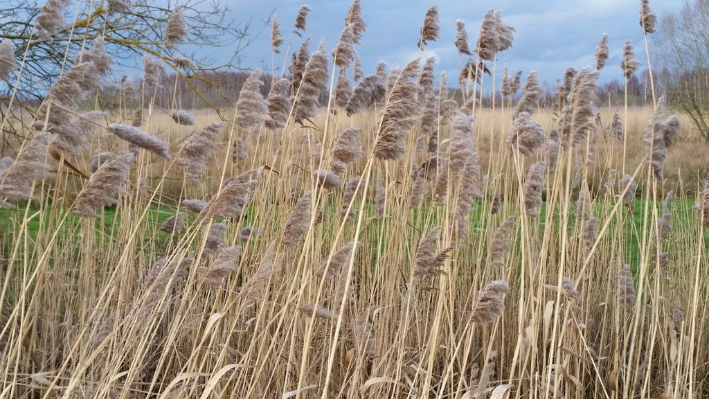Aux Charmes De La Campagne Villa Hautrage ภายนอก รูปภาพ