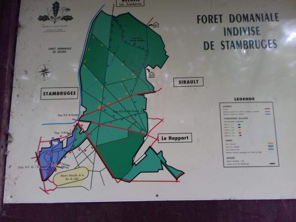 Aux Charmes De La Campagne Villa Hautrage ภายนอก รูปภาพ